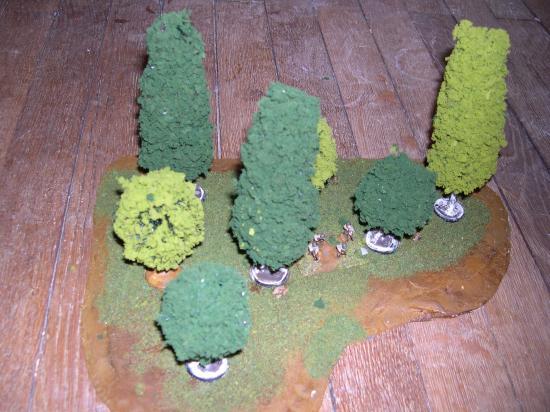 Arbre et forêts